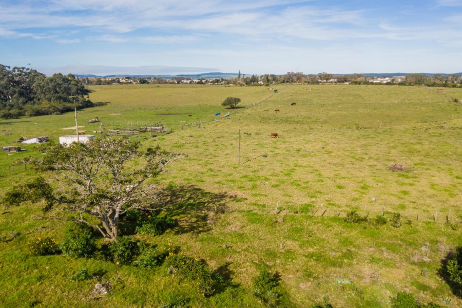 0 Bedroom Property for Sale in Alexandria Eastern Cape